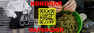 мяу мяу мука Малоярославец