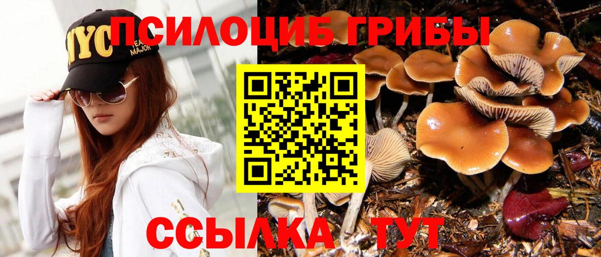 Сочи  Галлюциногенные грибы GOLDEN TEACHER  Вход с VPN 
