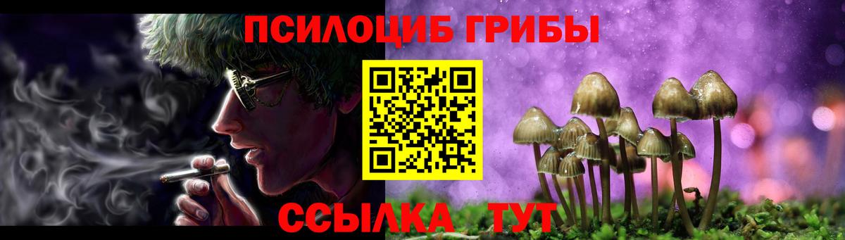 Псилоцибиновые грибы GOLDEN TEACHER Сочи
